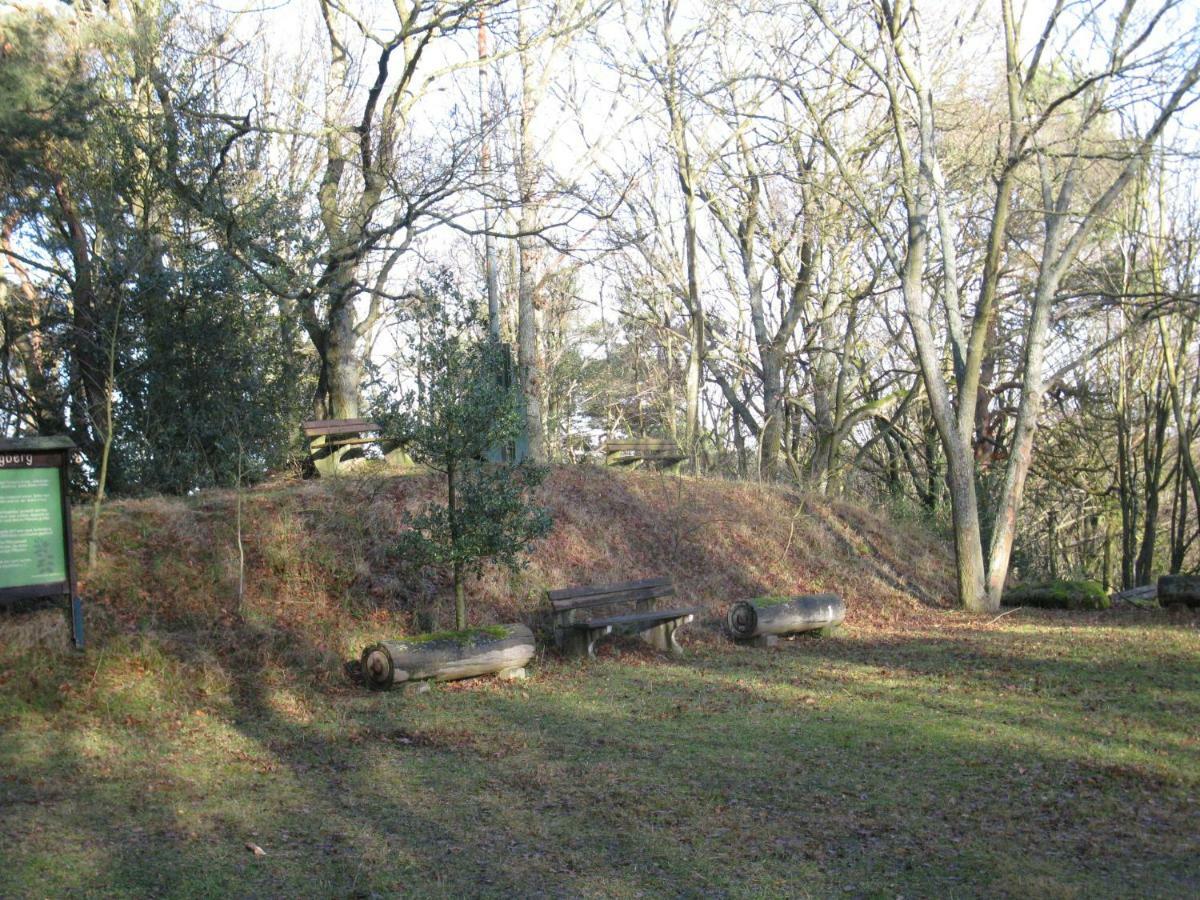 Das Burgberghaus Apartment Talaue 1.Og Bergstein Buitenkant foto